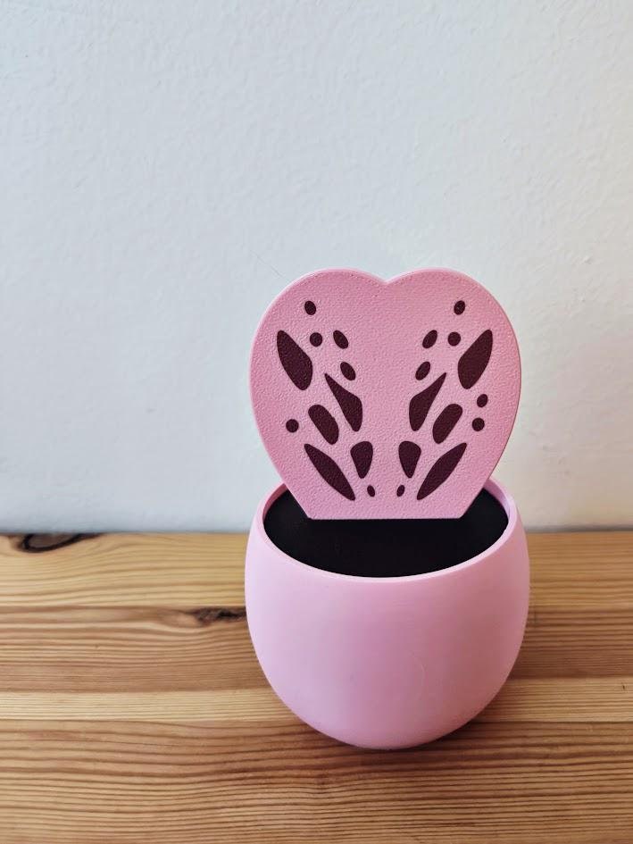Hoya Kerrii Hidden Box or Piggy Bank, Bunny Ear Cactus, Savings jar, Money Box, Treasure Bank, Cacti Planter, Succulent Pot, 3d print