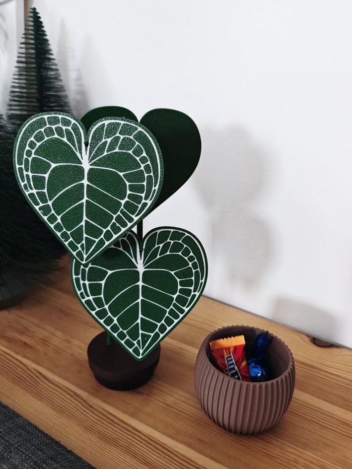 Anthurium Clarinervium Coaster Plant, Anthurium Coaster set of 4 Leaf Coasters, Heart shaped Coasters, 3d printed Coasters