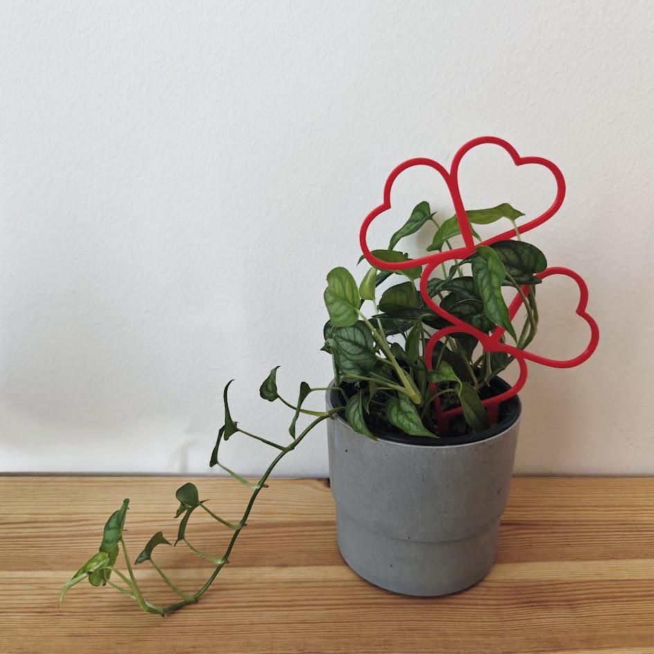 Heart Trellis, Valentine&#39;s Day Gift for Plant Lovers Gift for Valentines Day, Plant Support for Climbing Plants, Plant Stake, 3d print