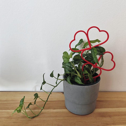 Heart Trellis, Valentine&#39;s Day Gift for Plant Lovers Gift for Valentines Day, Plant Support for Climbing Plants, Plant Stake, 3d print