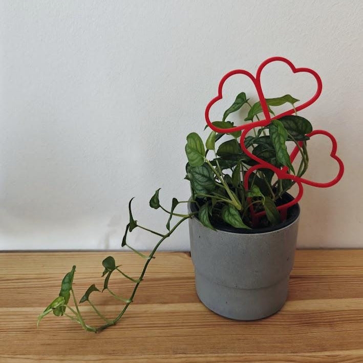 Heart Trellis, Valentine&#39;s Day Gift for Plant Lovers Gift for Valentines Day, Plant Support for Climbing Plants, Plant Stake, 3d print
