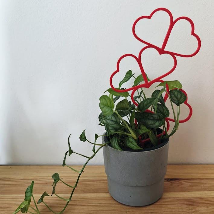 Heart Trellis, Valentine&#39;s Day Gift for Plant Lovers Gift for Valentines Day, Plant Support for Climbing Plants, Plant Stake, 3d print