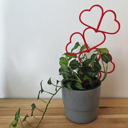 Heart Trellis, Valentine&#39;s Day Gift for Plant Lovers Gift for Valentines Day, Plant Support for Climbing Plants, Plant Stake, 3d print