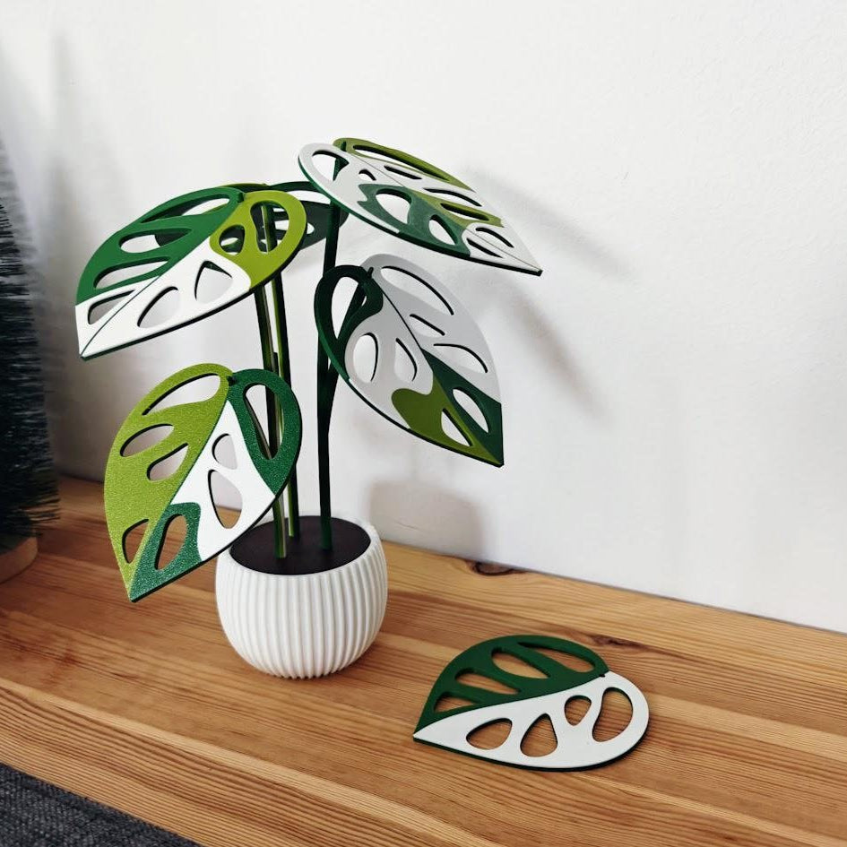 Monstera Adansonii Coaster Set, Decoration Gift Present, Plant with Pot, Variegated Leaf Coasters