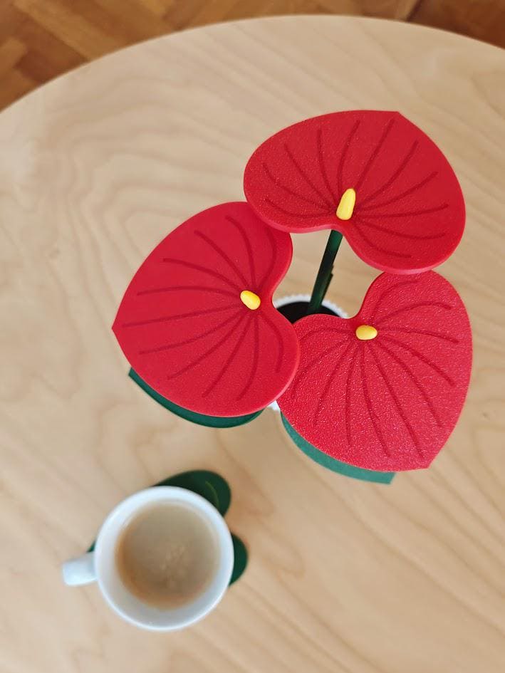 Top view of red anthurium leaf coaster with drink placed on it
