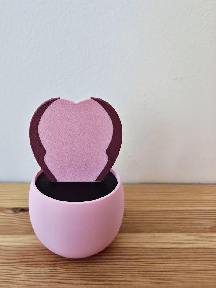 Hoya Kerrii Hidden Box or Piggy Bank, Bunny Ear Cactus, Savings jar, Money Box, Treasure Bank, Cacti Planter, Succulent Pot, 3d print