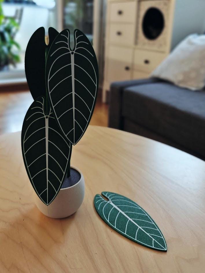 Anthurium Warocqueanum, Plant Coaster Set, Queen of Anthuriums, Leaf Coasters, 3D printed Coasters, Anthurium Coaster, Anthurium Waro