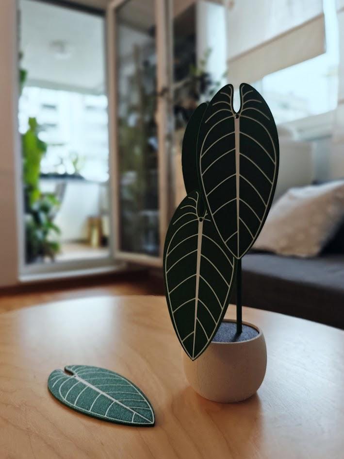 Anthurium Warocqueanum, Plant Coaster Set, Queen of Anthuriums, Leaf Coasters, 3D printed Coasters, Anthurium Coaster, Anthurium Waro