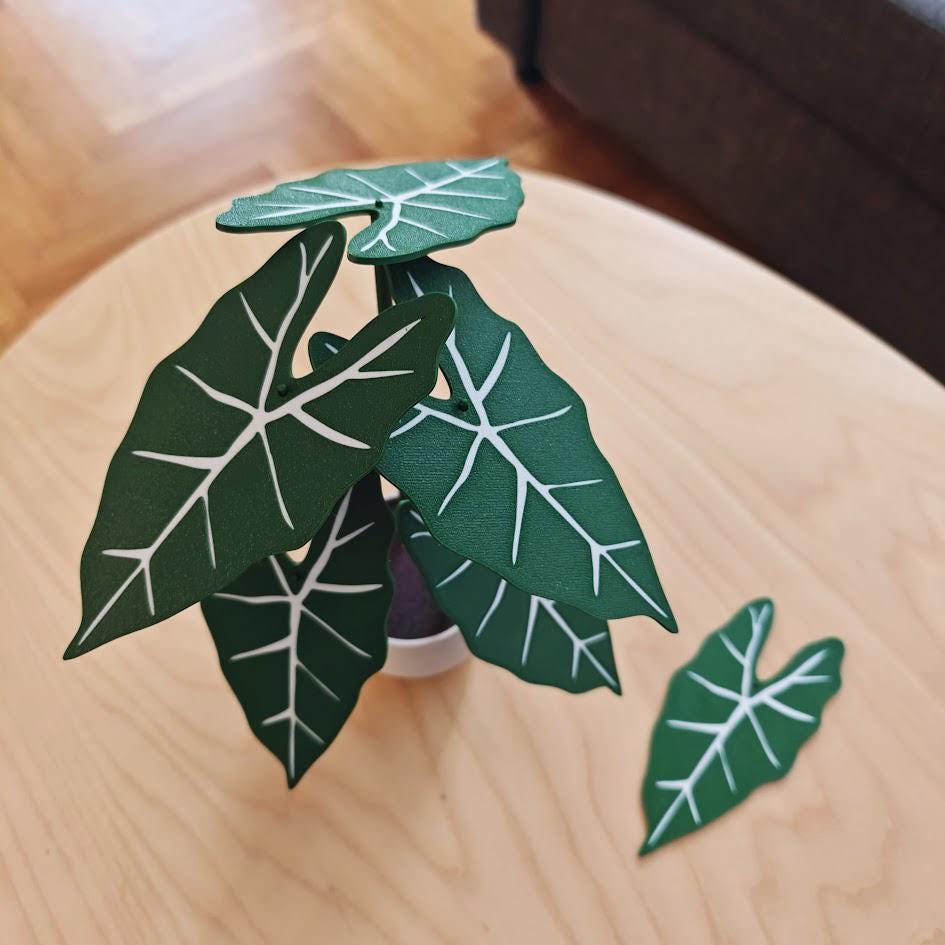 Coaster Plant Alocasia Frydek, Alocasia Green Velvet, 3D printed Coaster Set Alocasia Leaf Coasters, Alocasia Variegated Frydek