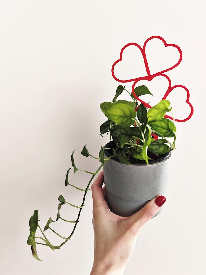 Heart Trellis, Valentine&#39;s Day Gift for Plant Lovers Gift for Valentines Day, Plant Support for Climbing Plants, Plant Stake, 3d print