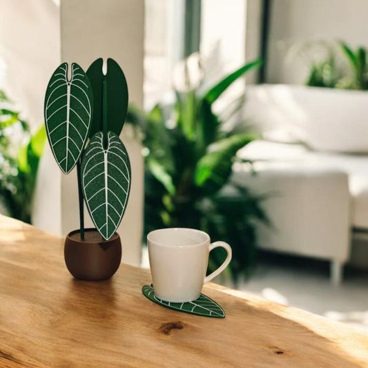 Anthurium Warocqueanum, Plant Coaster Set, Queen of Anthuriums, Leaf Coasters, 3D printed Coasters, Anthurium Coaster, Anthurium Waro