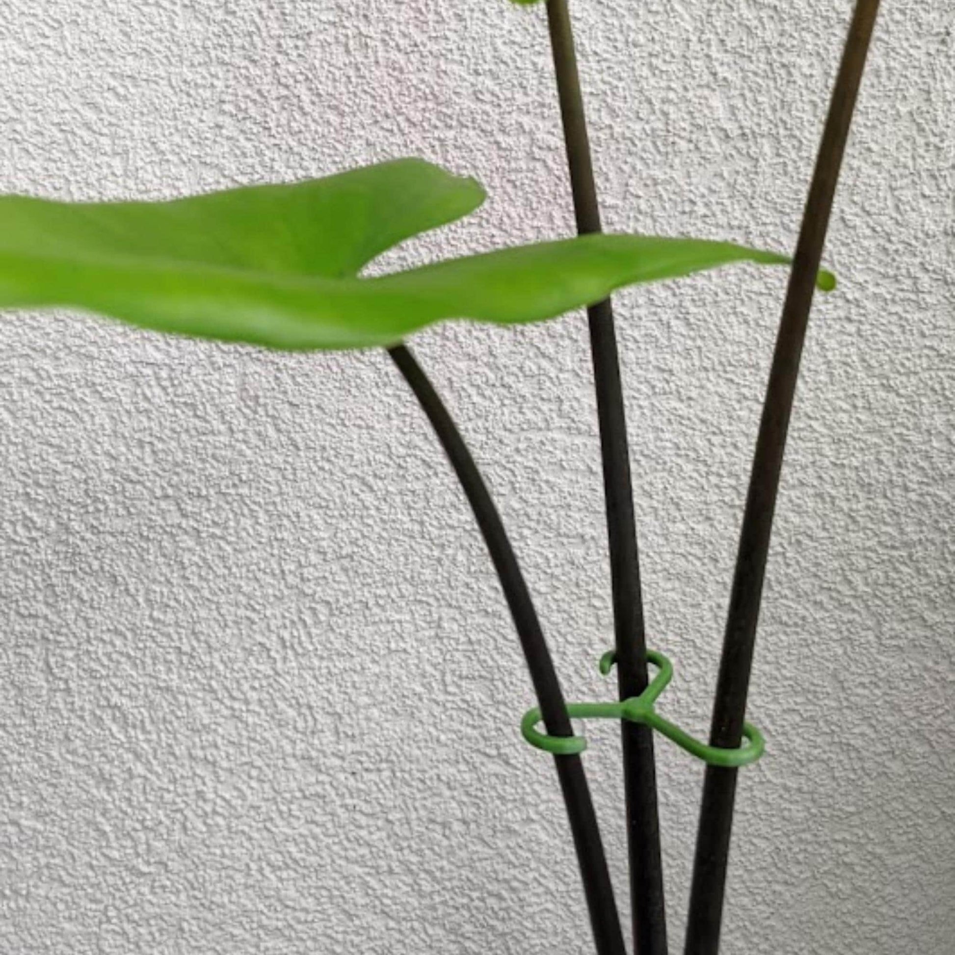 Stem Hook Supports, Lightweight with rounded edges, Multi-size, Stake for Heavy and Droopy Leaves, Set of Clips for Plant Care, 3d print