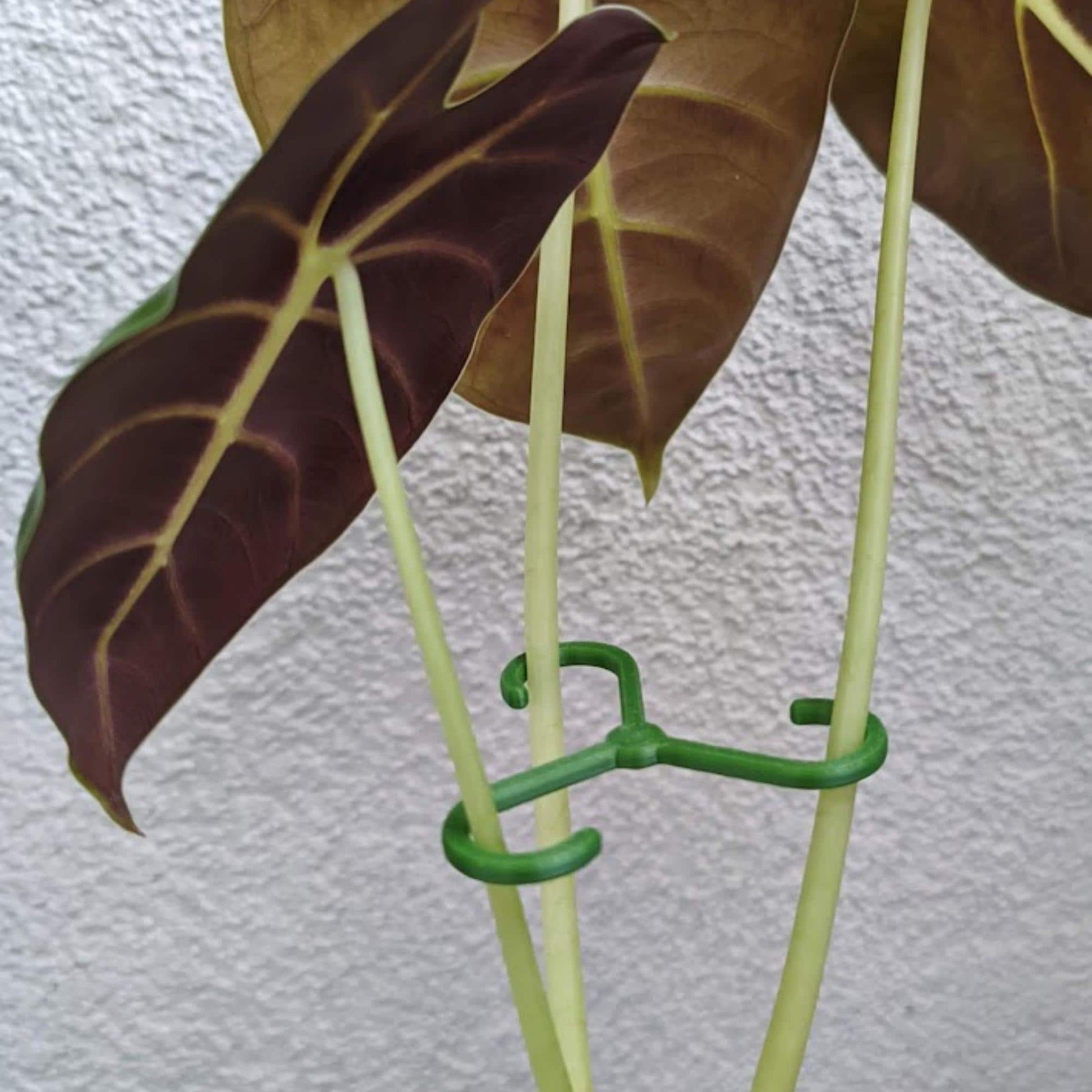 Stem Hook Supports, Lightweight with rounded edges, Multi-size, Stake for Heavy and Droopy Leaves, Set of Clips for Plant Care, 3d print