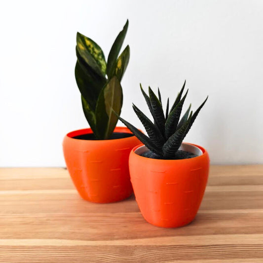 Carrot Planter, Easter Decoration, 3D Printed Pot for Succulents, Spring Home Decor, Housewarming Gift