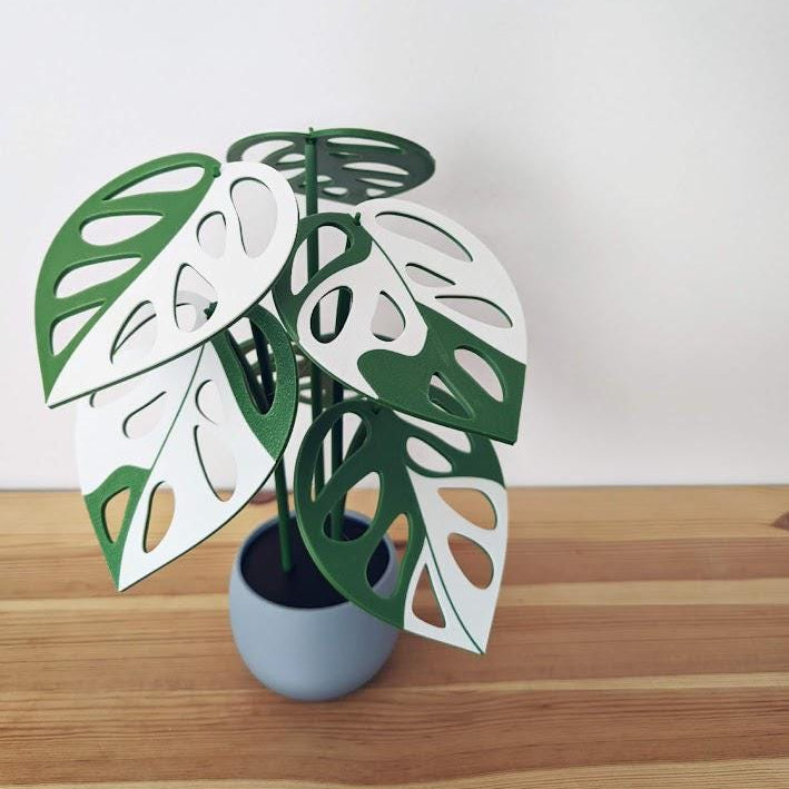 Monstera Adansonii Plant Coaster Set, Magnetic Leaves, Monstera Leaf Coaster Gift for Plant Lovers, 3D printed Monstera Variegated