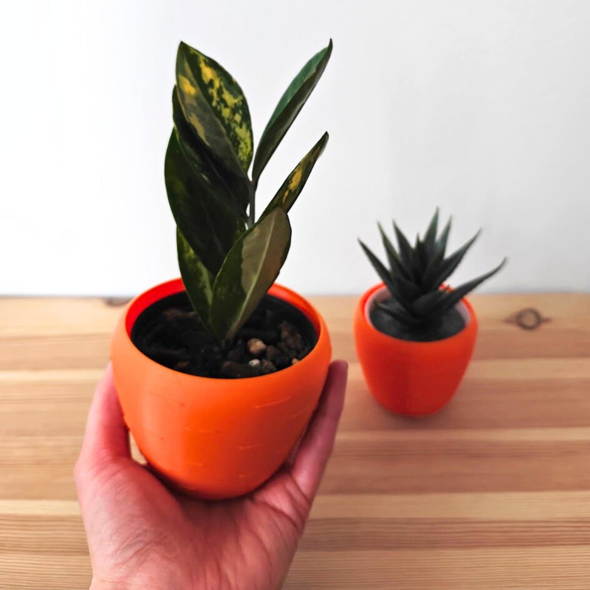 Carrot shaped Pot, Easter Decoration, 3D Printed Planter for Succulents, Spring Home Decor, Housewarming Gift