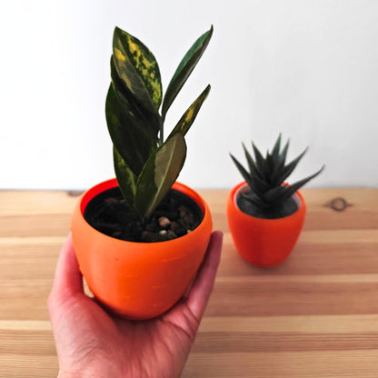 Carrot shaped Pot, Easter Decoration, 3D Printed Planter for Succulents, Spring Home Decor, Housewarming Gift