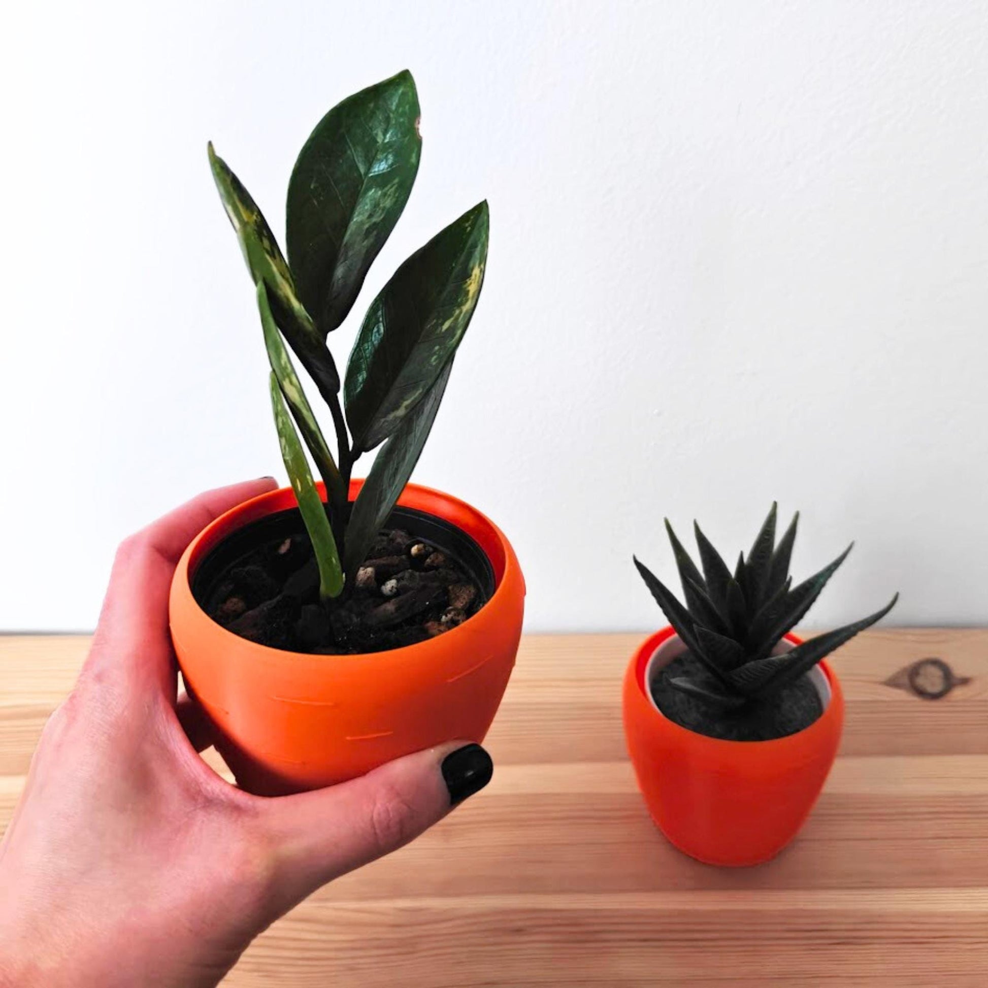 Carrot Planter, Easter Decoration, 3D Printed Pot for Succulents, Spring Home Decor, Housewarming Gift