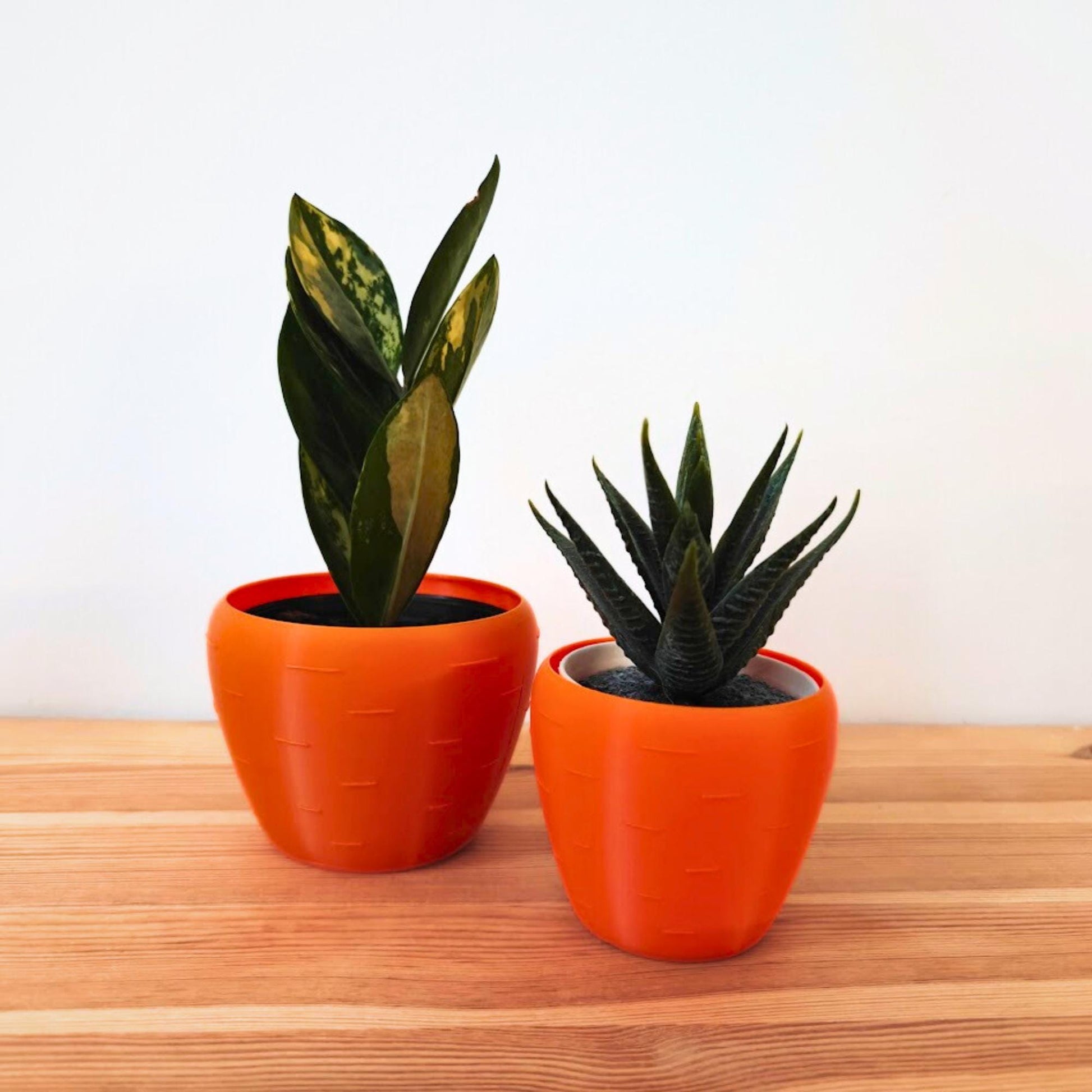 Carrot Planter, Easter Decoration, 3D Printed Pot for Succulents, Spring Home Decor, Housewarming Gift