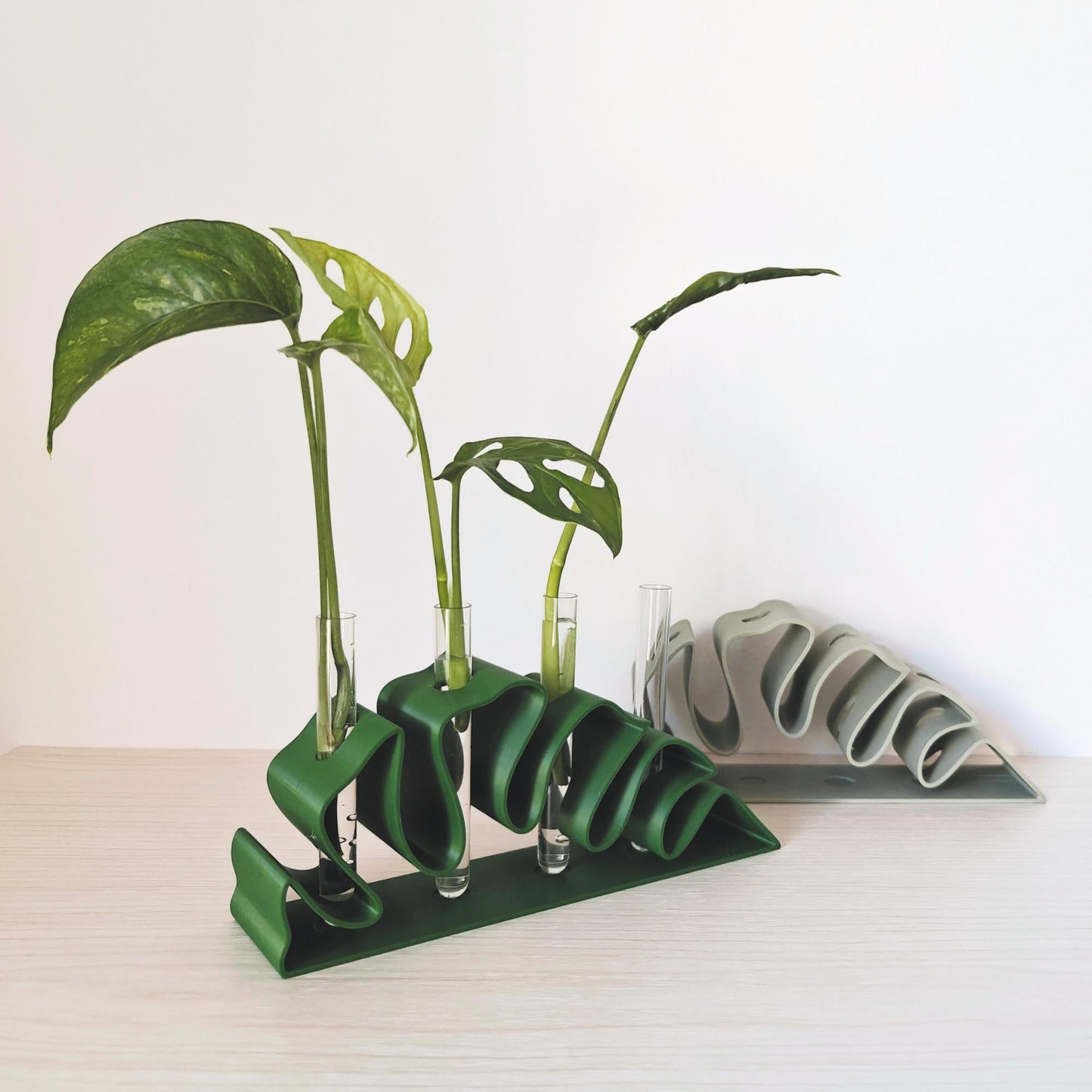 Monstera Leaf Propagation Stand, Hydroponic Test Tube Holder, Rooting Vase with Glass Vials, Cuttings Grow Station, 3D printed organizer