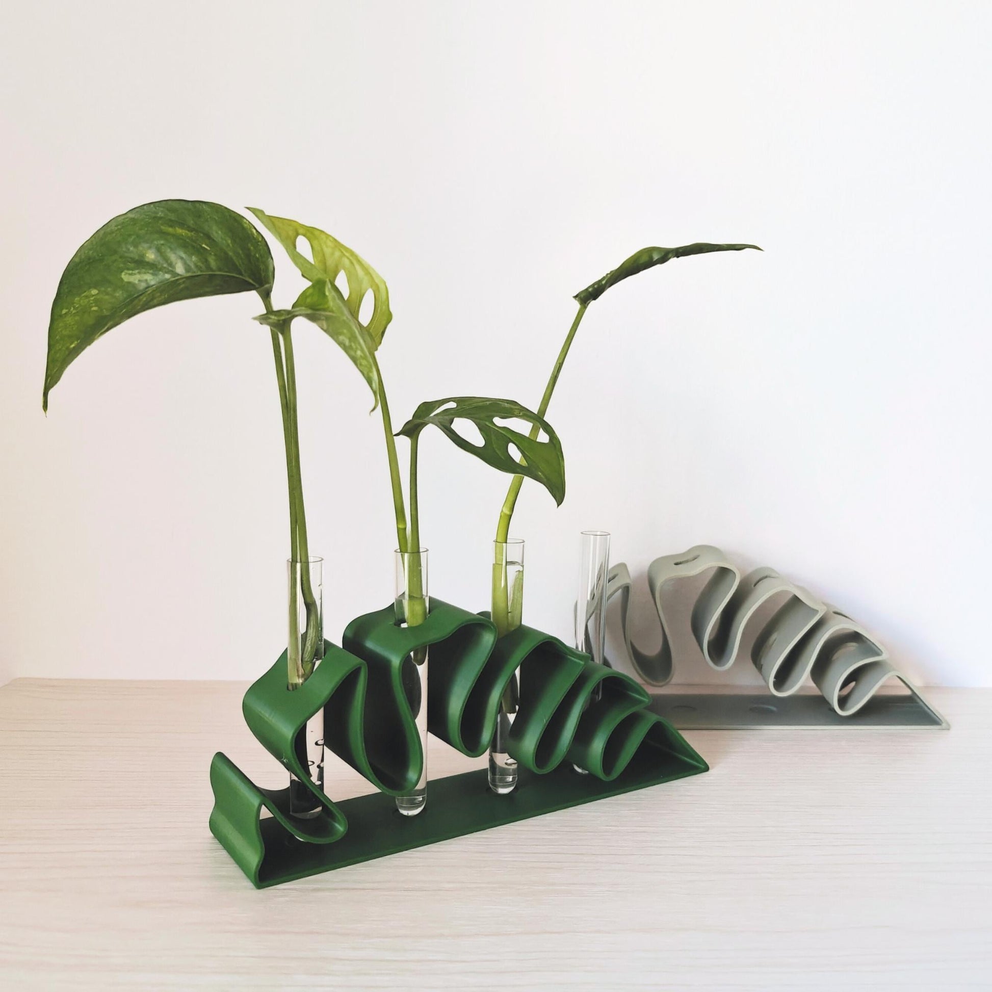 Monstera Leaf Propagation Stand, Hydroponic Test Tube Holder, Rooting Vase with Glass Vials, Cuttings Grow Station, 3D printed organizer