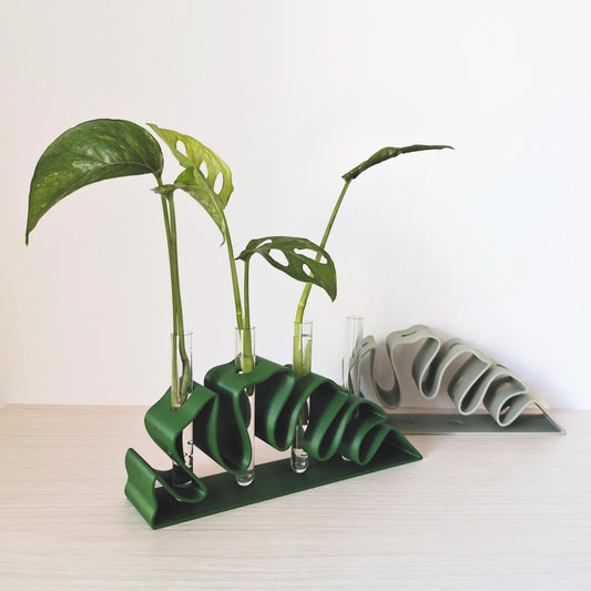Monstera Leaf Propagation Stand, Hydroponic Test Tube Holder, Rooting Vase with Glass Vials, Cuttings Grow Station, 3D printed organizer