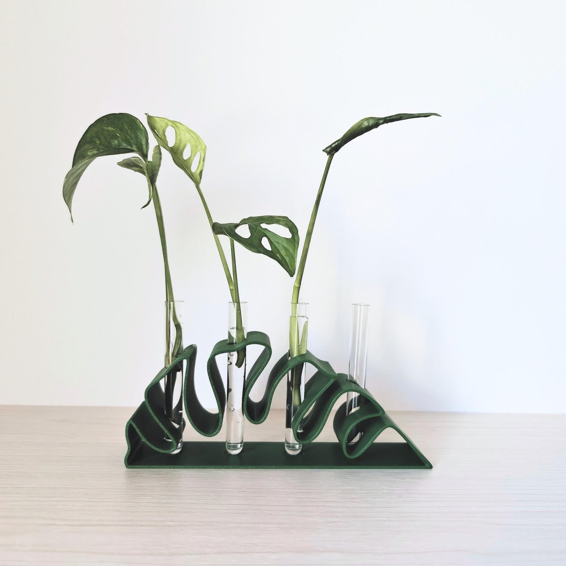 Monstera Leaf Propagation Stand, Hydroponic Test Tube Holder, Rooting Vase with Glass Vials, Cuttings Grow Station, 3D printed organizer