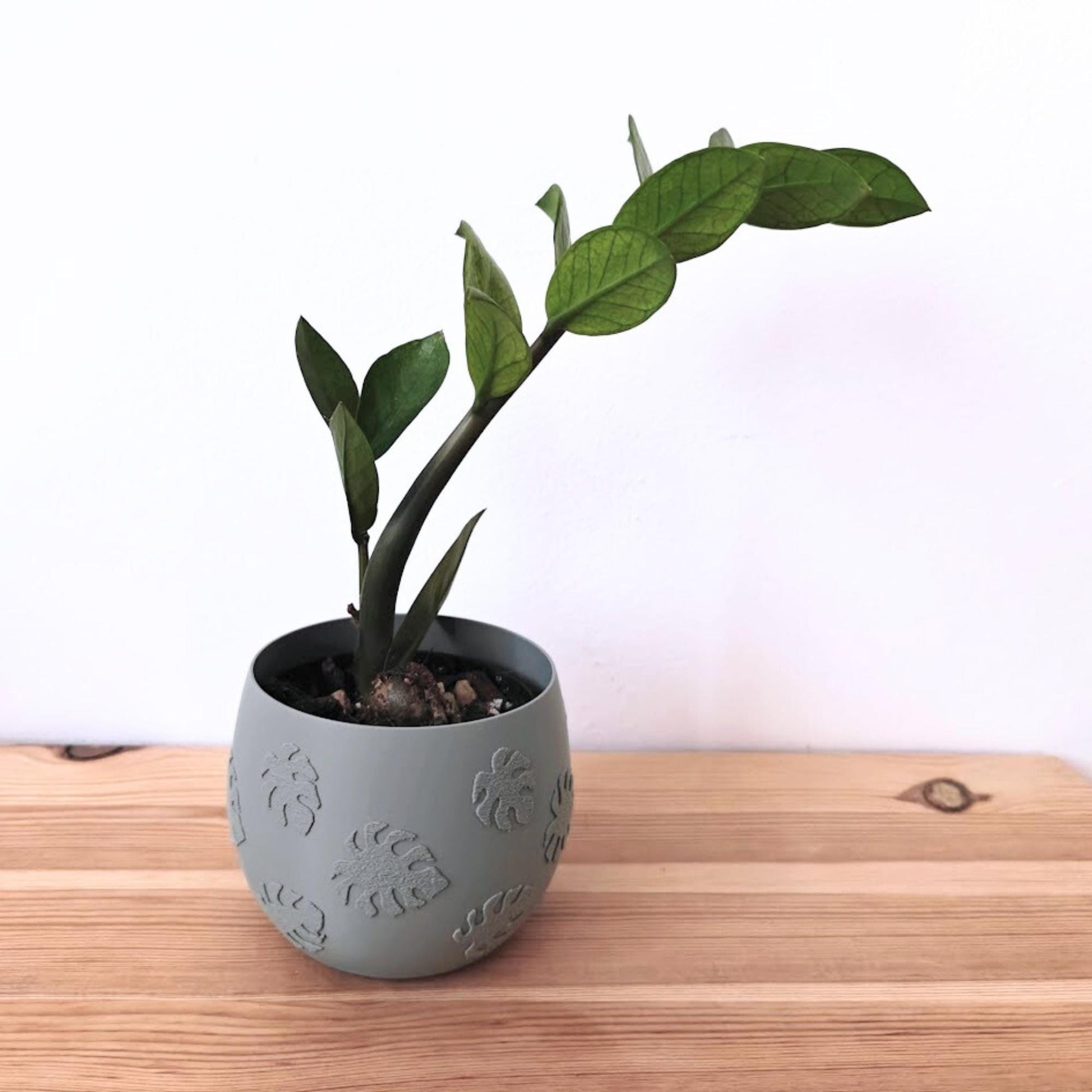 Plant Pots with Decorative Patterns – Monstera, Flowers, or Polka Dots