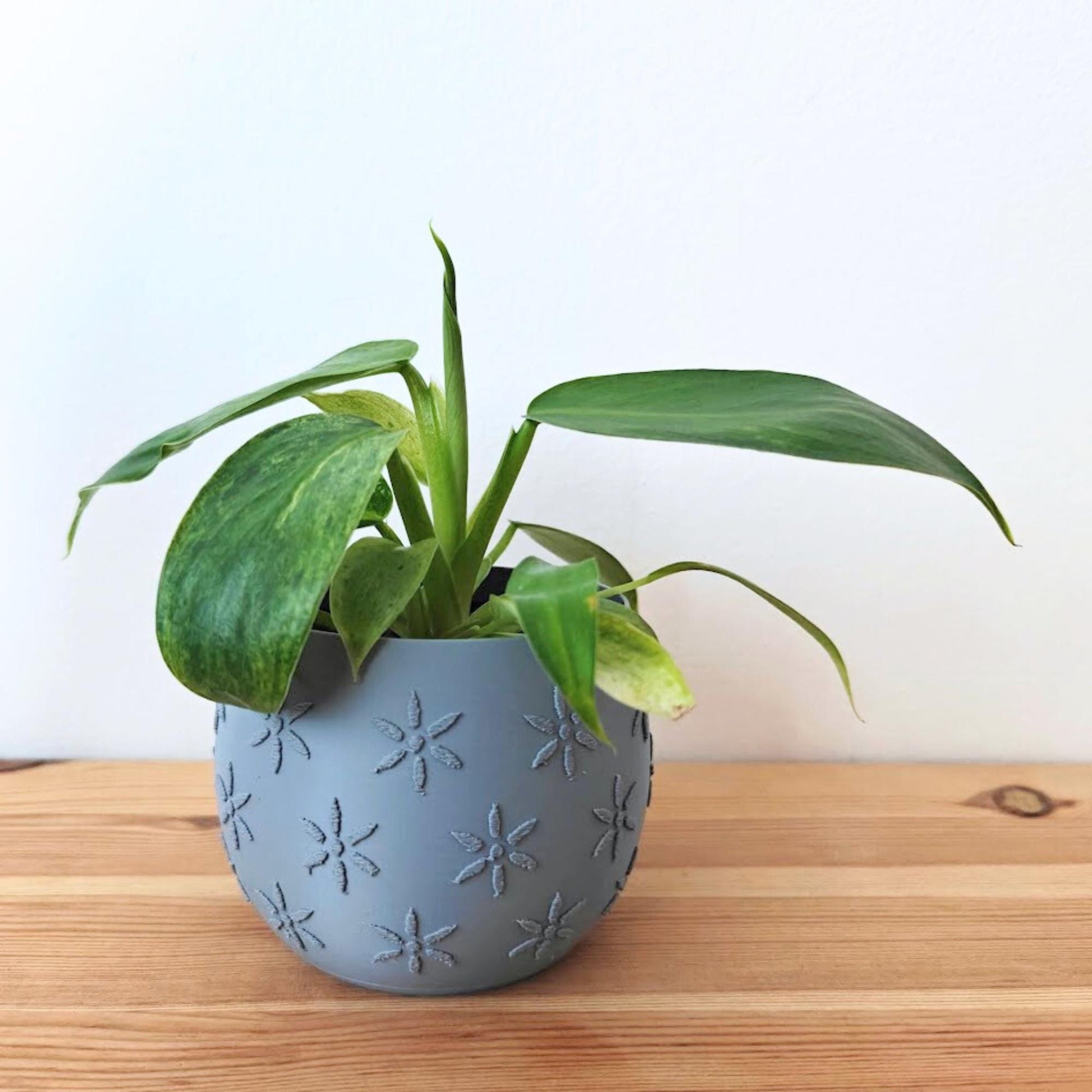 Plant Pots with Decorative Patterns – Monstera, Flowers, or Polka Dots