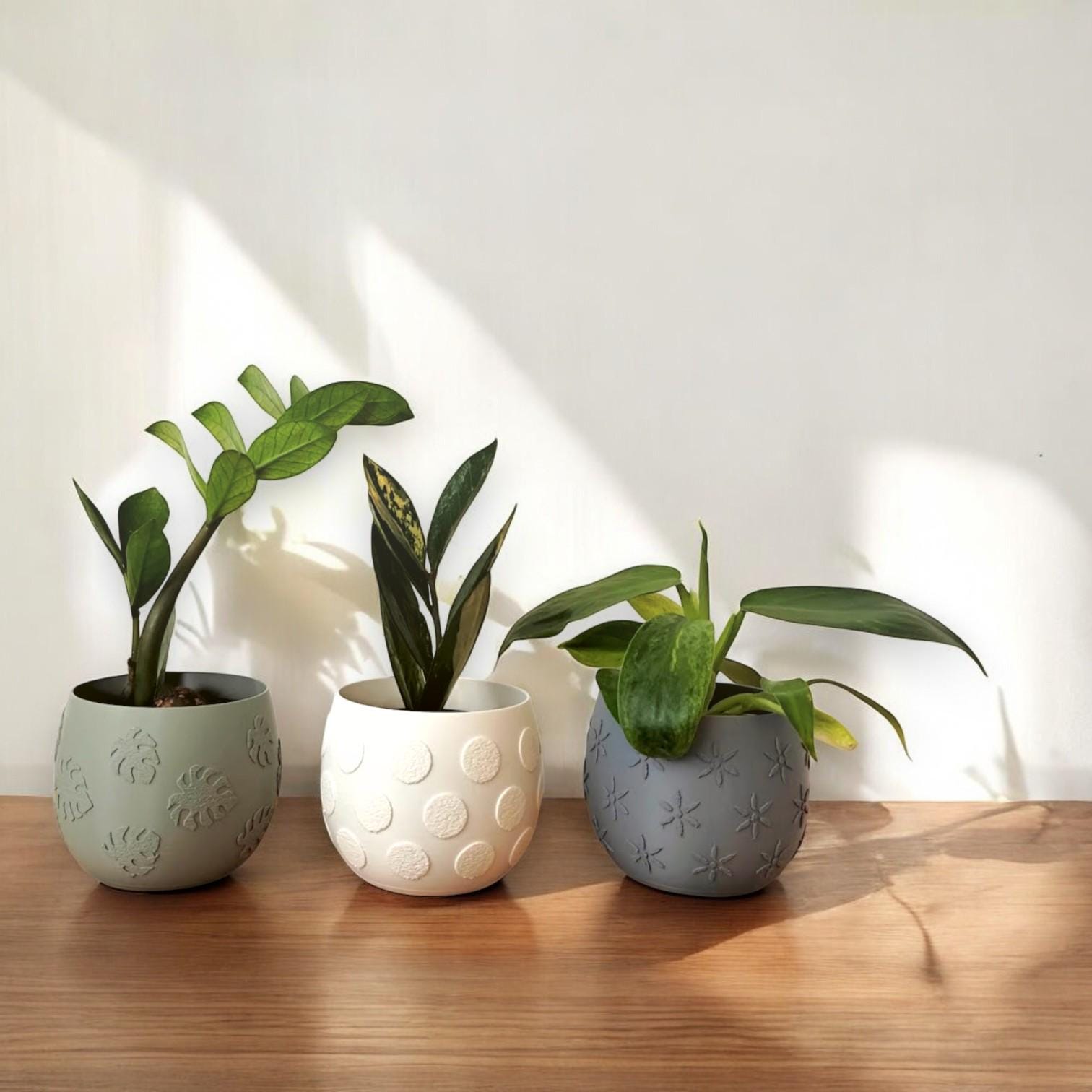 Plant Pots with Decorative Patterns – Monstera, Flowers, or Polka Dots, Indoor Garden Planter for Succulents, Cacti or Small Plants