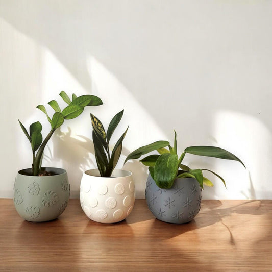 Plant Pots with Decorative Patterns – Monstera, Flowers, or Polka Dots, Indoor Garden Planter for Succulents, Cacti or Small Plants