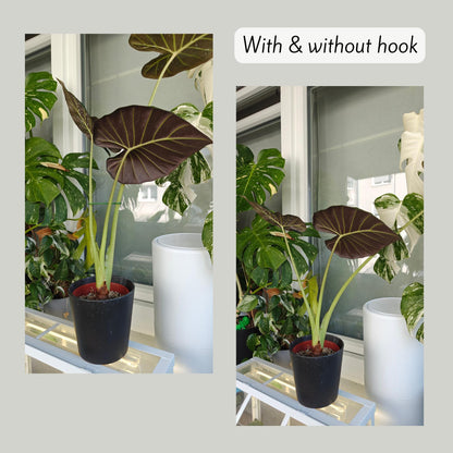 With and without hook
