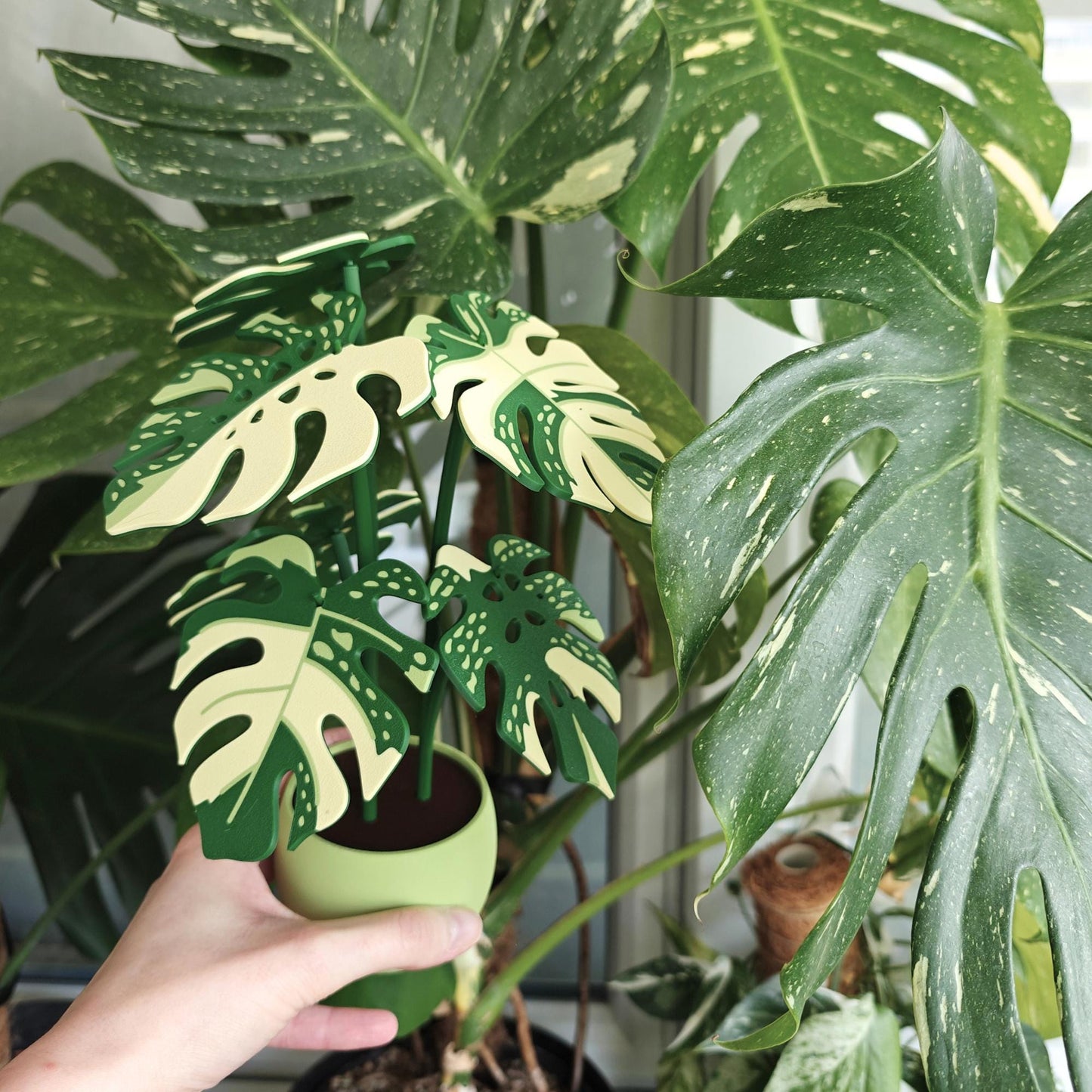 Monstera Thai Coaster Plant, MAGNETIC Leaves, Thai Constellation Leaf Coaster Set, 3D printed Coasters, Gift for Plant Lovers