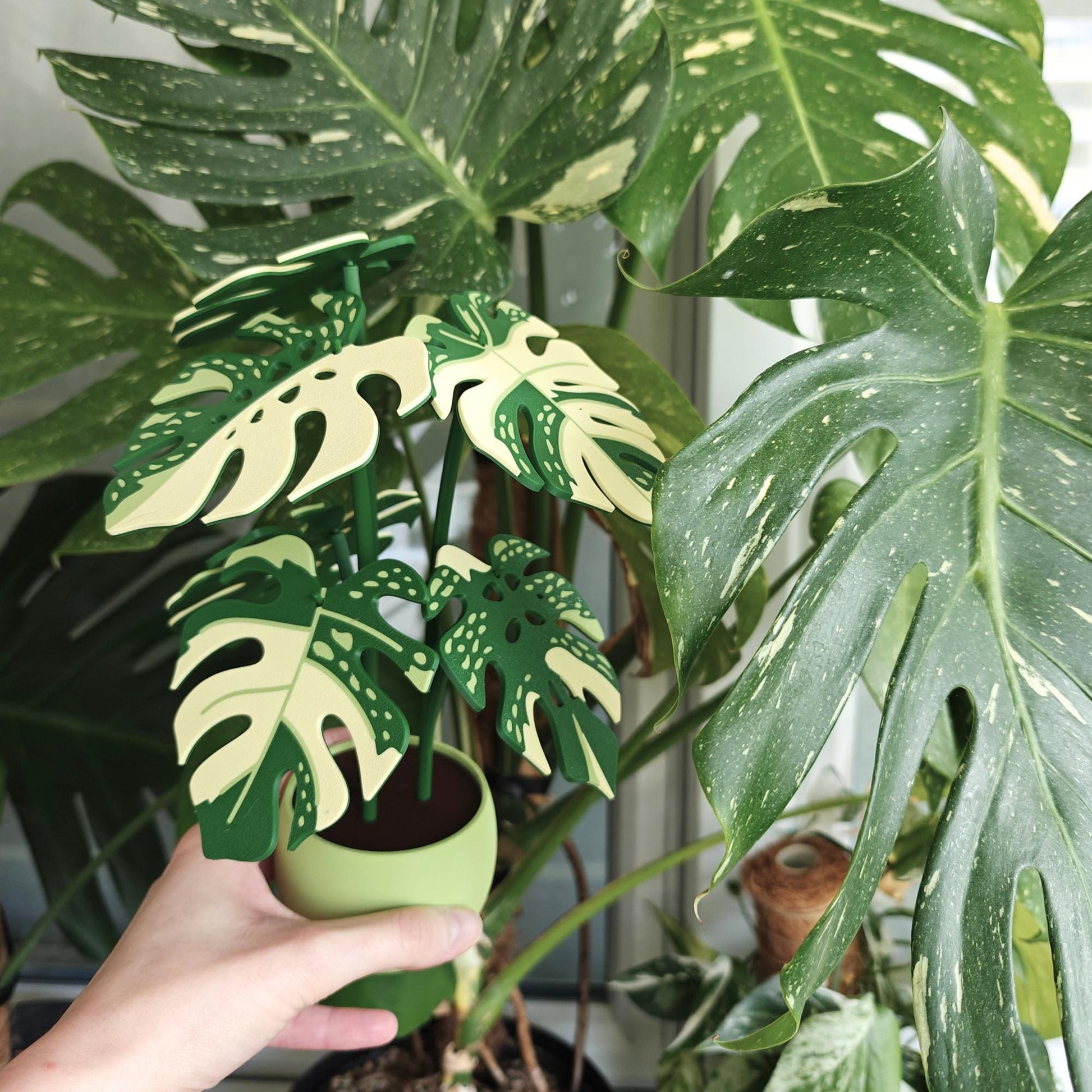Monstera Thai Coaster Plant, MAGNETIC Leaves, Thai Constellation Leaf Coaster Set, 3D printed Coasters, Gift for Plant Lovers