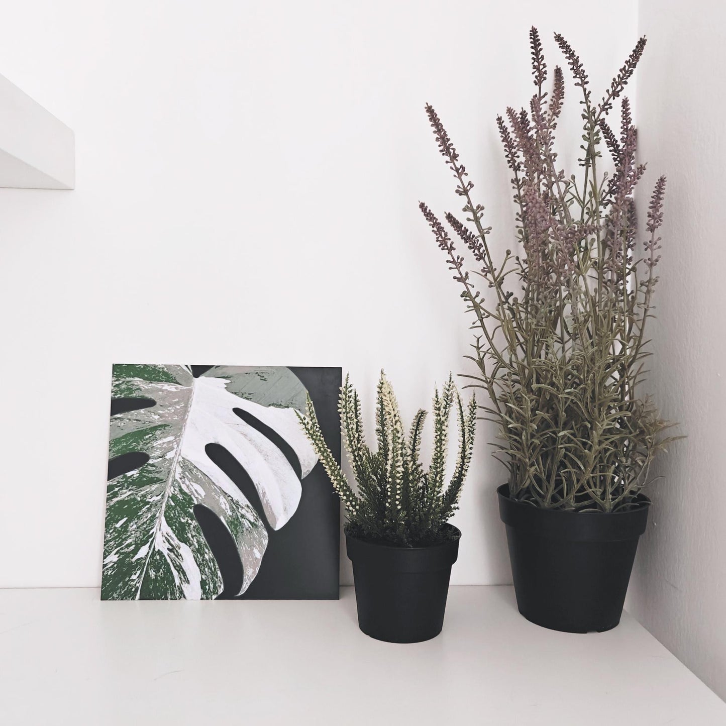 Monstera Albo Leaf, Hueforge Wall Art, 3D Illusion Print, Plant Lover Gift