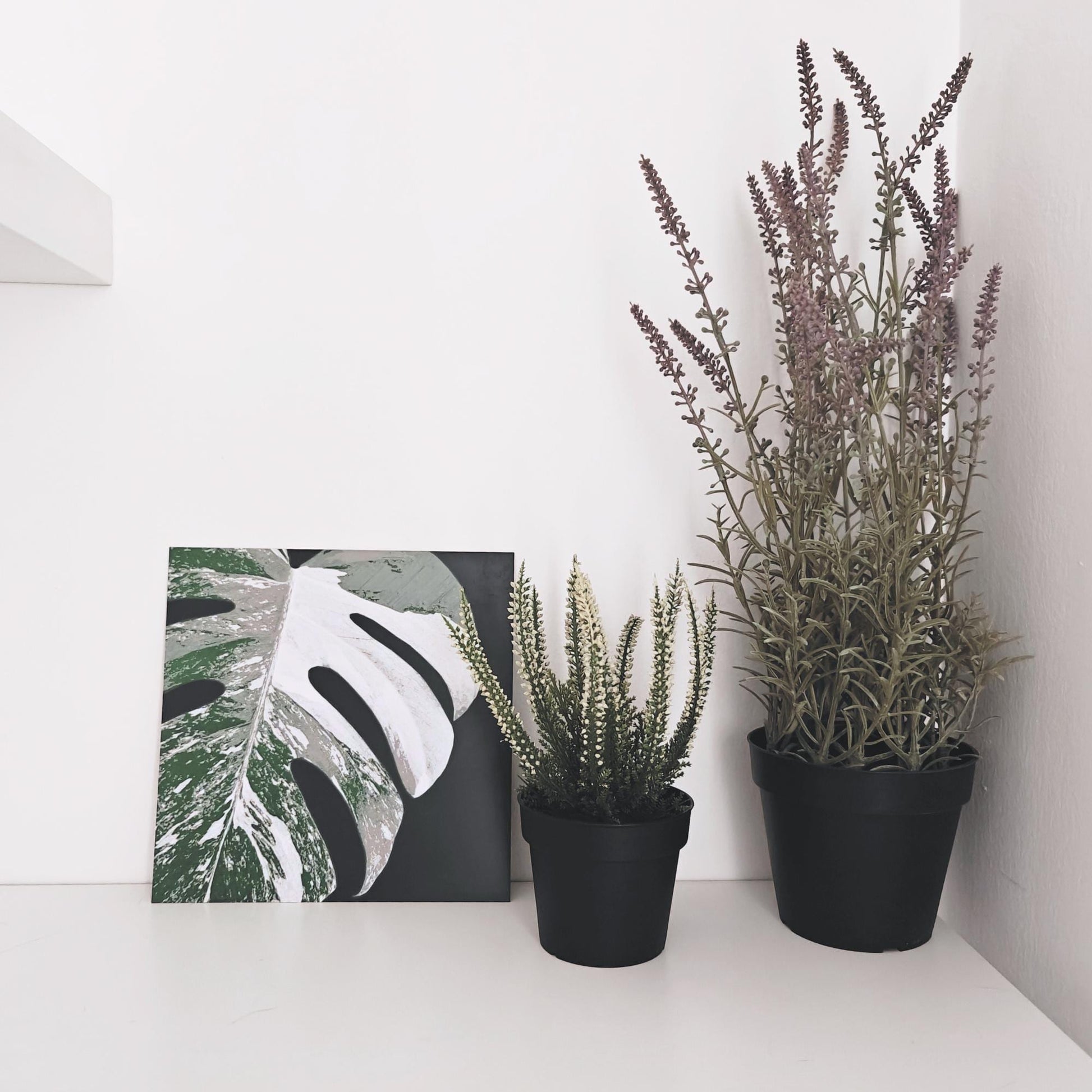 Monstera Albo Leaf, Hueforge Wall Art, 3D Illusion Print, Plant Lover Gift