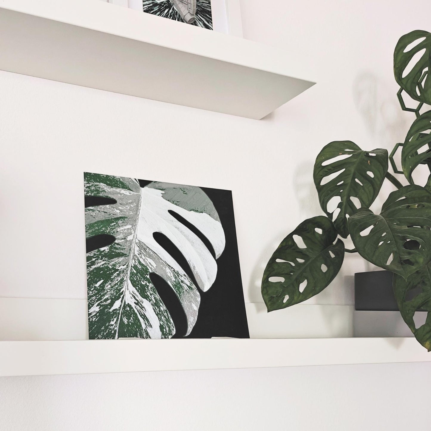 Monstera Albo Leaf, Hueforge Wall Art, 3D Illusion Print, Plant Lover Gift