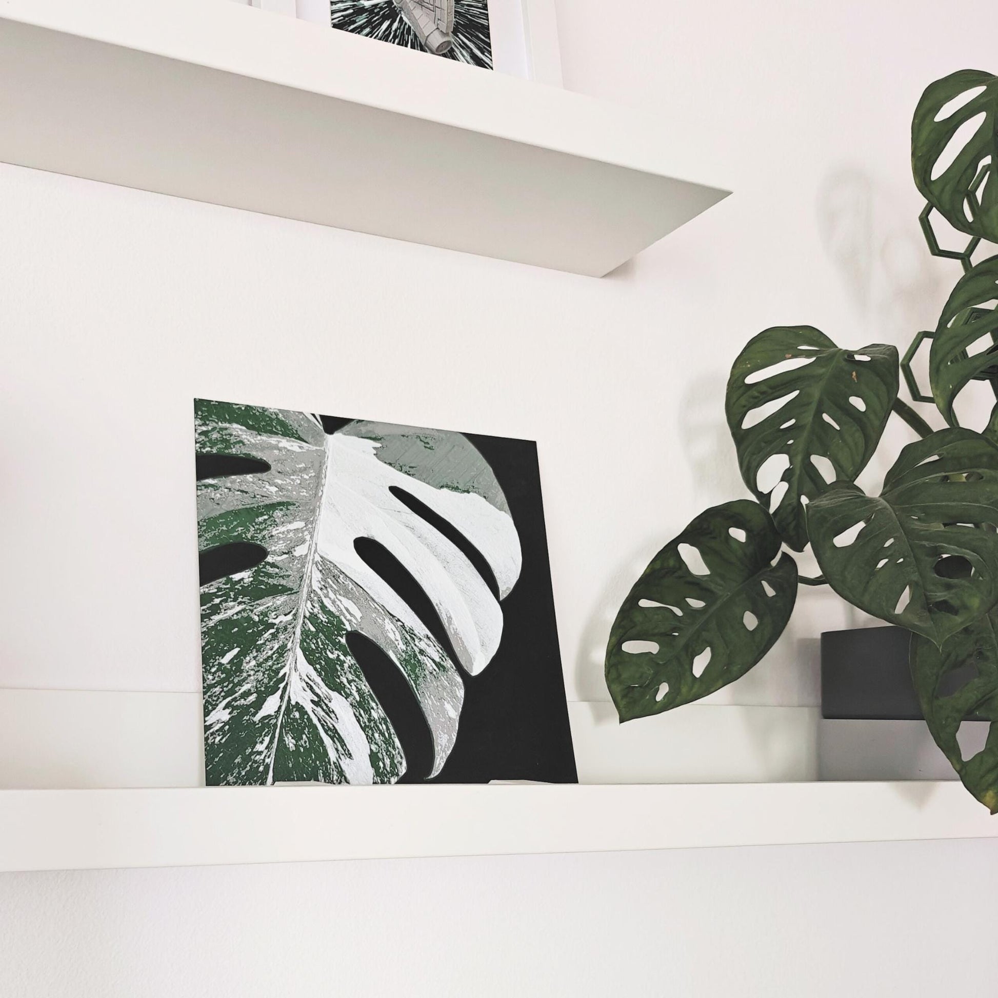 Monstera Albo Leaf, Hueforge Wall Art, 3D Illusion Print, Plant Lover Gift