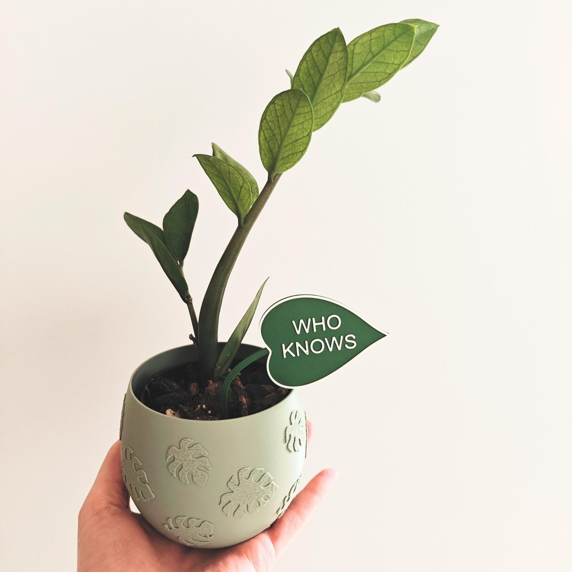 Funny Leaf Shaped Plant Signs - set of 5 pcs, choose your text, Eco-friendly Sustainable 3d Printed, Garden Markers Decor, Plant Accessories