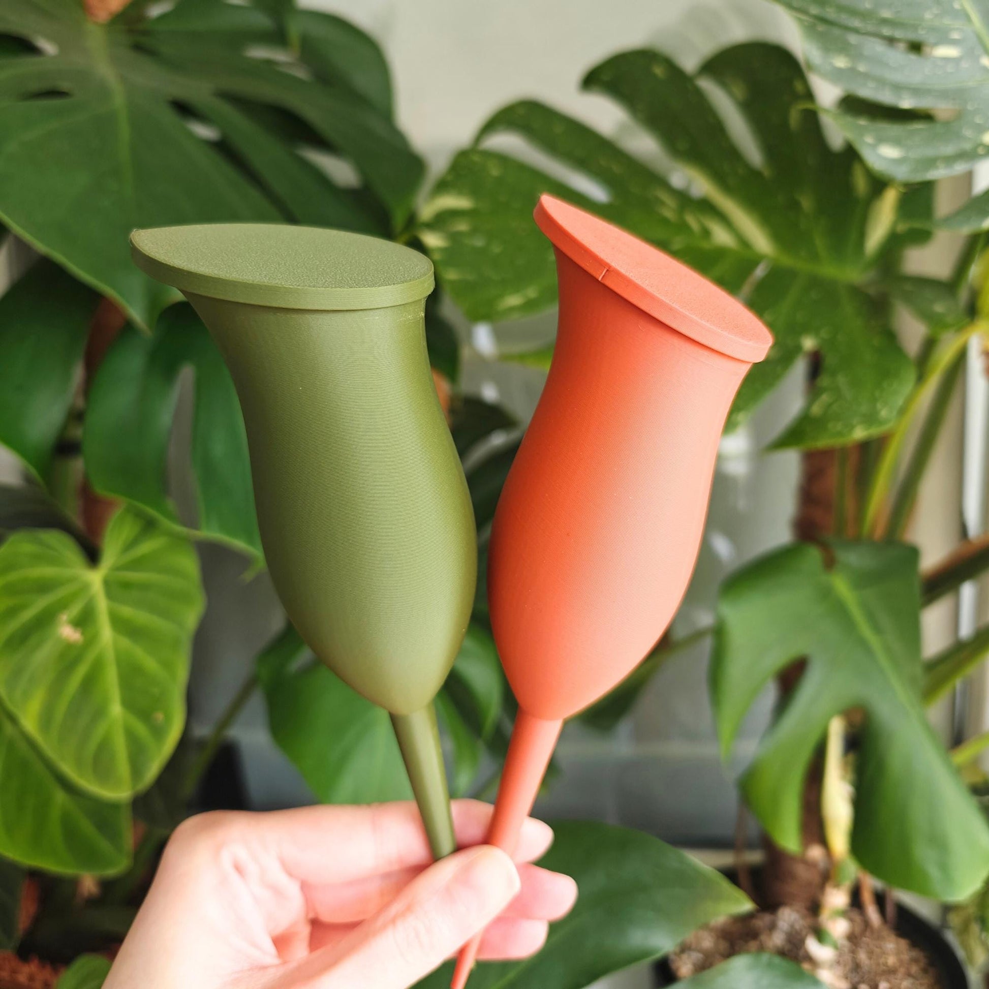 Water container in the shape of a Pitcher plant, Self-watering planter, Slow Release Watering for Indoor Plants, Irrigation and watering aid