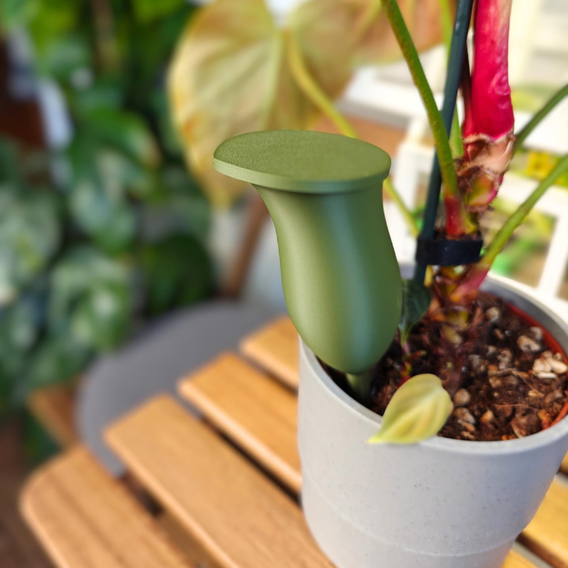 Water container in the shape of a Pitcher plant, Self-watering planter, Slow Release Watering for Indoor Plants, Irrigation and watering aid