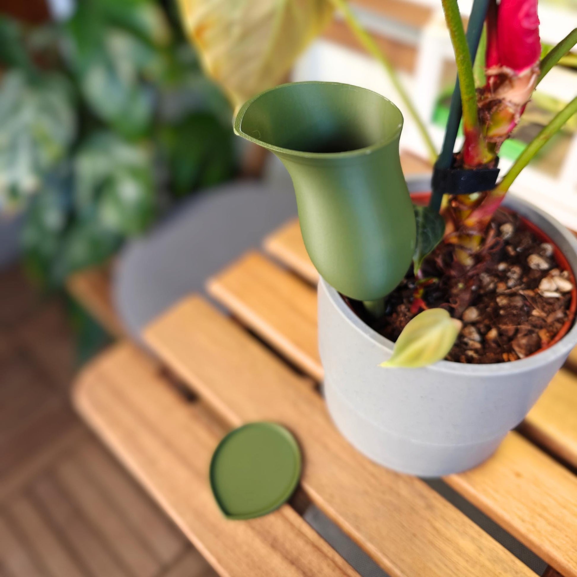 slow release water for indoor plants Water container in the shape of a Pitcher plant, Self watering aid – noordinaryleaf