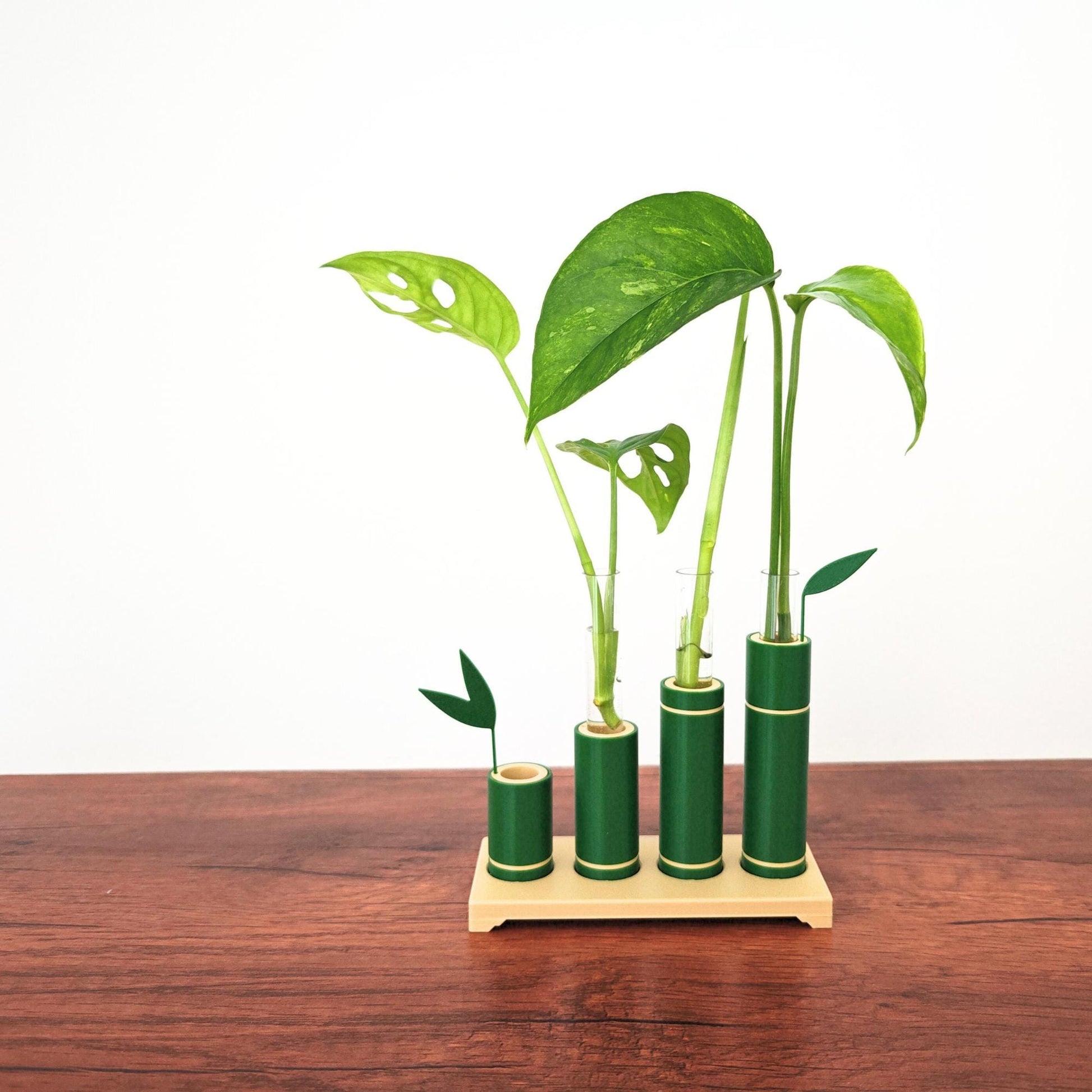 Bamboo Propagation Stand, Hydroponic Test Tube Holder, Rooting Vase with Plastic Vials, Cuttings Grow Station, 3D printed organizer