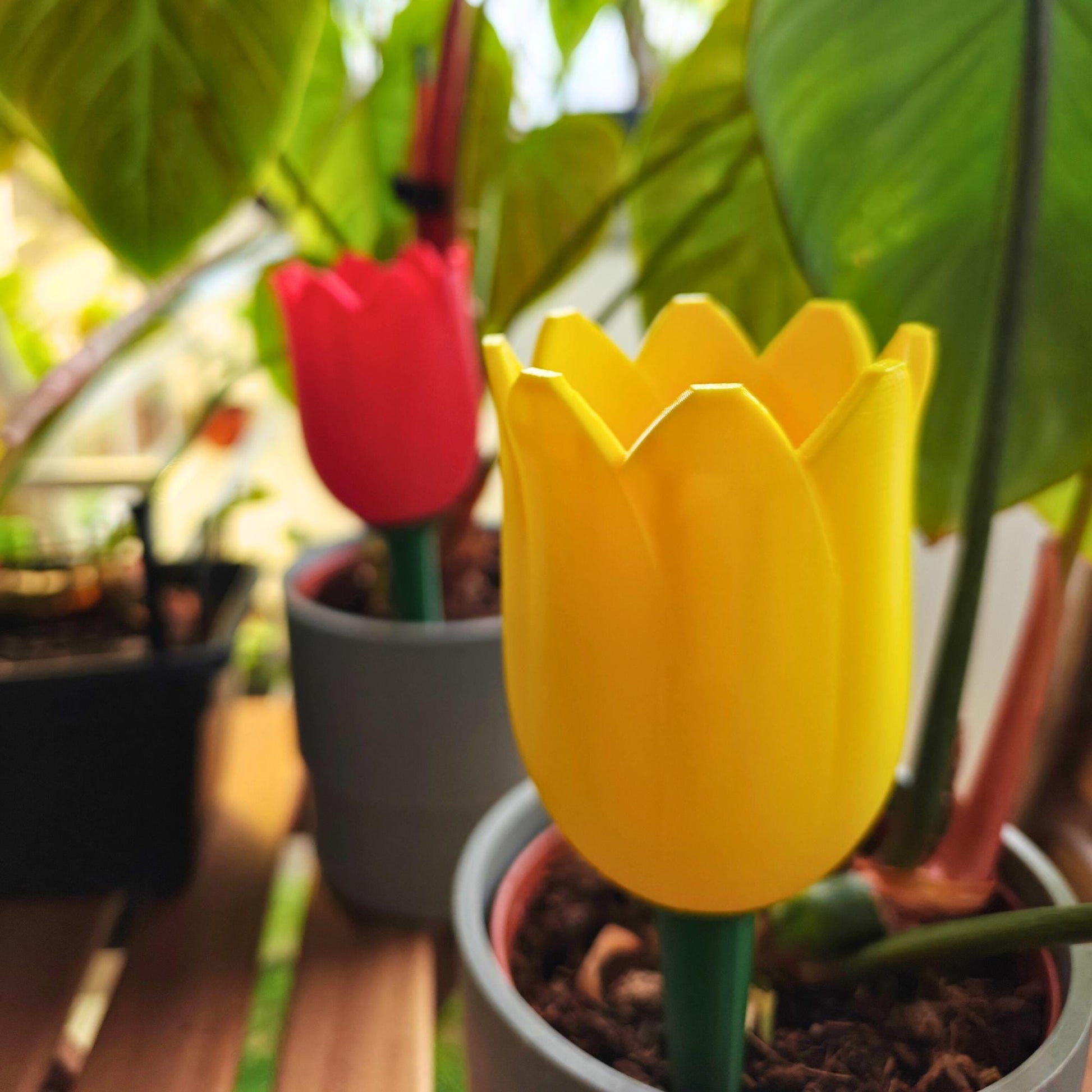 Tulip-shaped water container, self-watering planter for slow-release irrigation for Indoor Plants