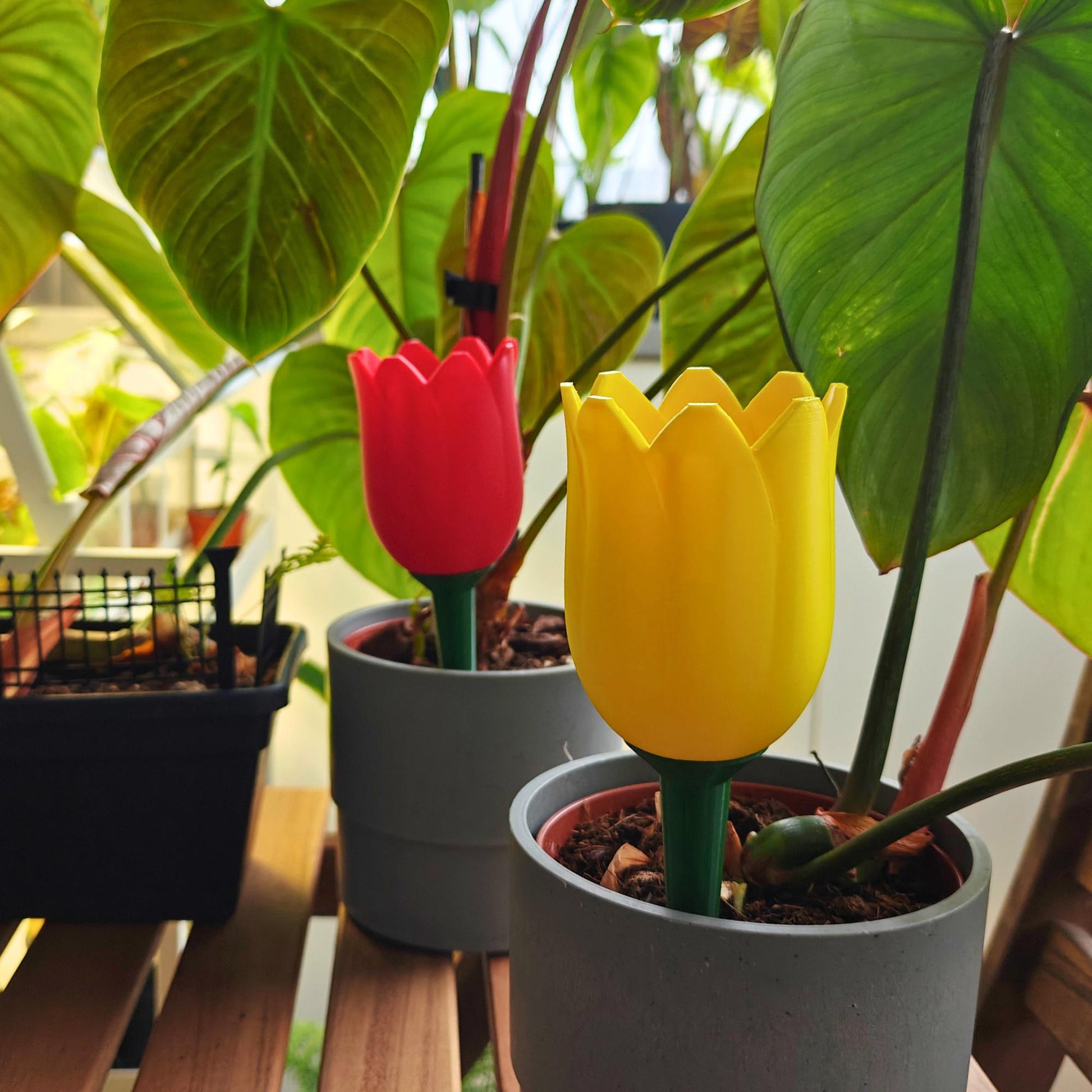 Tulip-shaped water container, self-watering planter for slow-release irrigation for Indoor Plants