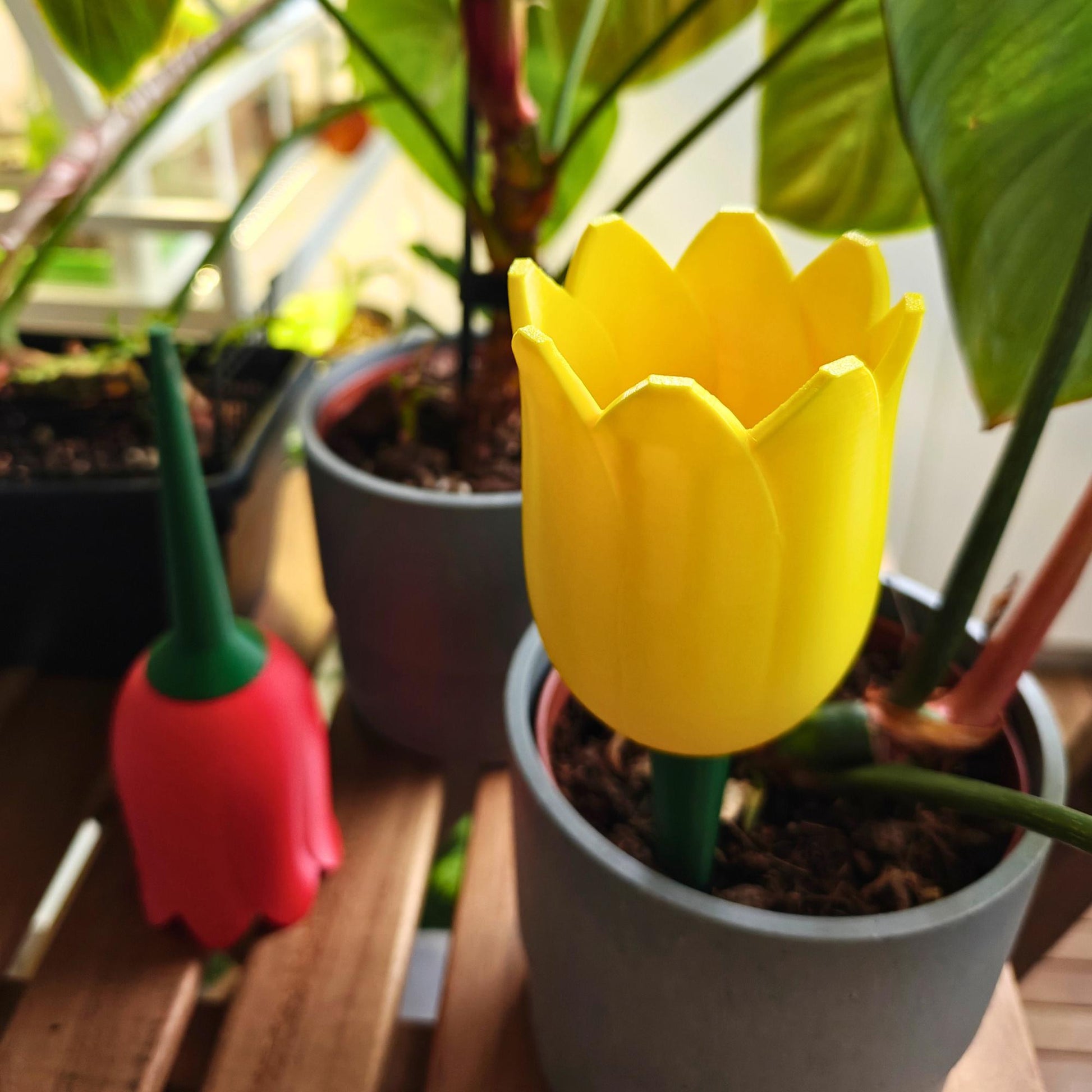 Tulip-shaped water container, self-watering planter for slow-release irrigation for Indoor Plants