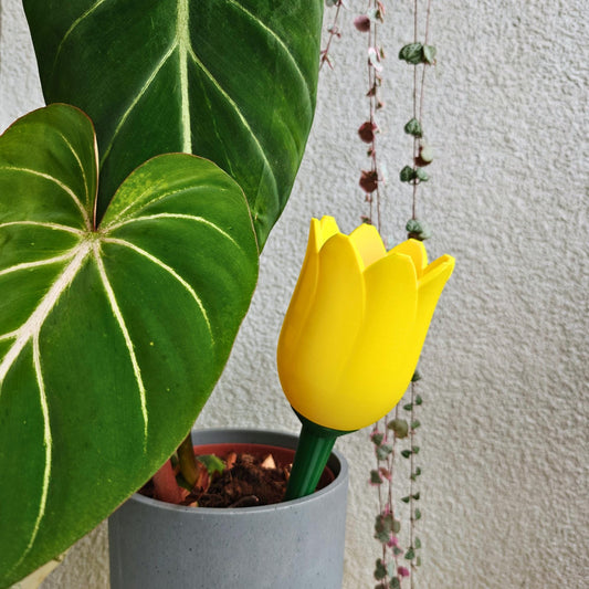 Tulip-shaped water container, self-watering planter for slow-release irrigation for Indoor Plants