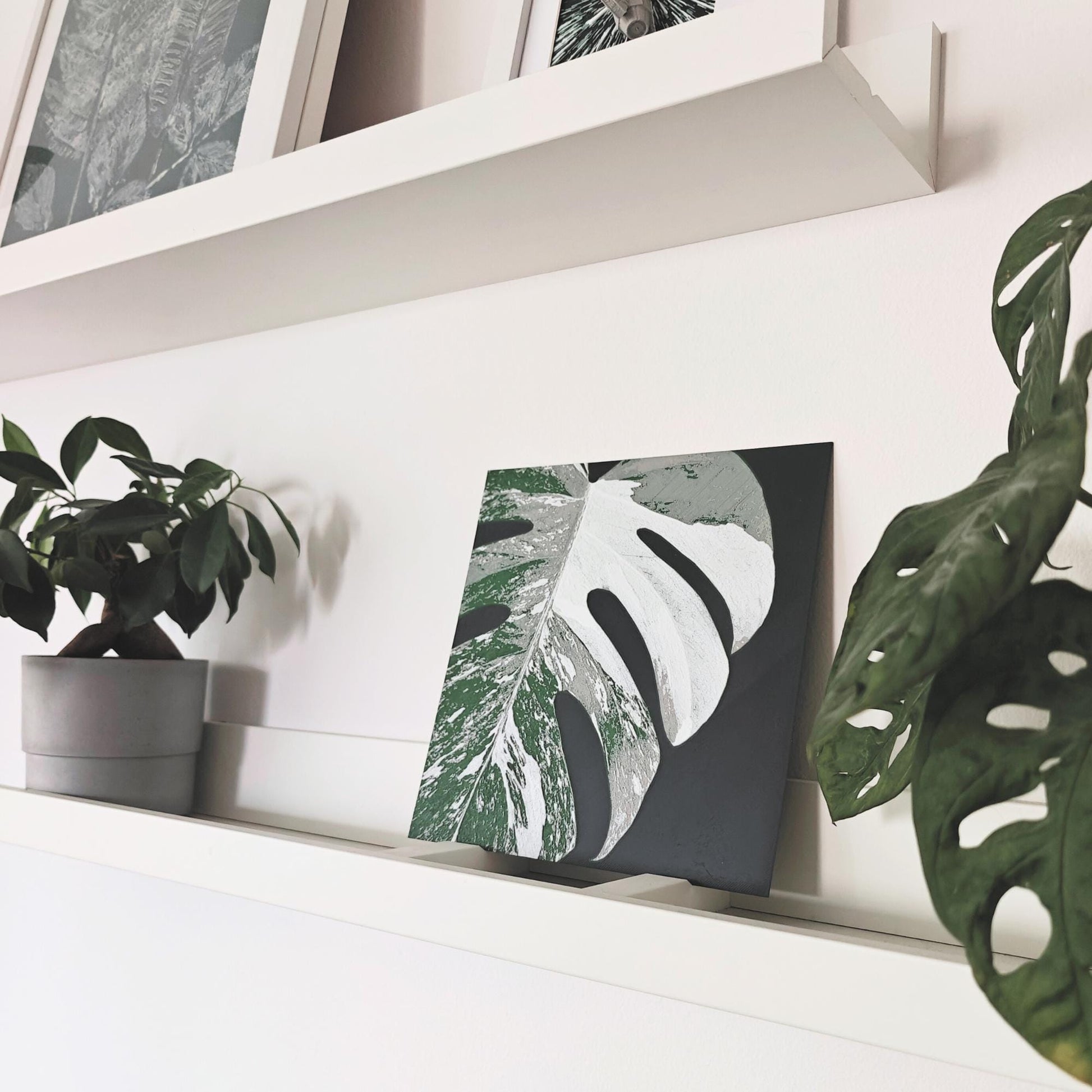 Monstera Albo Leaf, Hueforge Wall Art, 3D Illusion Print, Plant Lover Gift