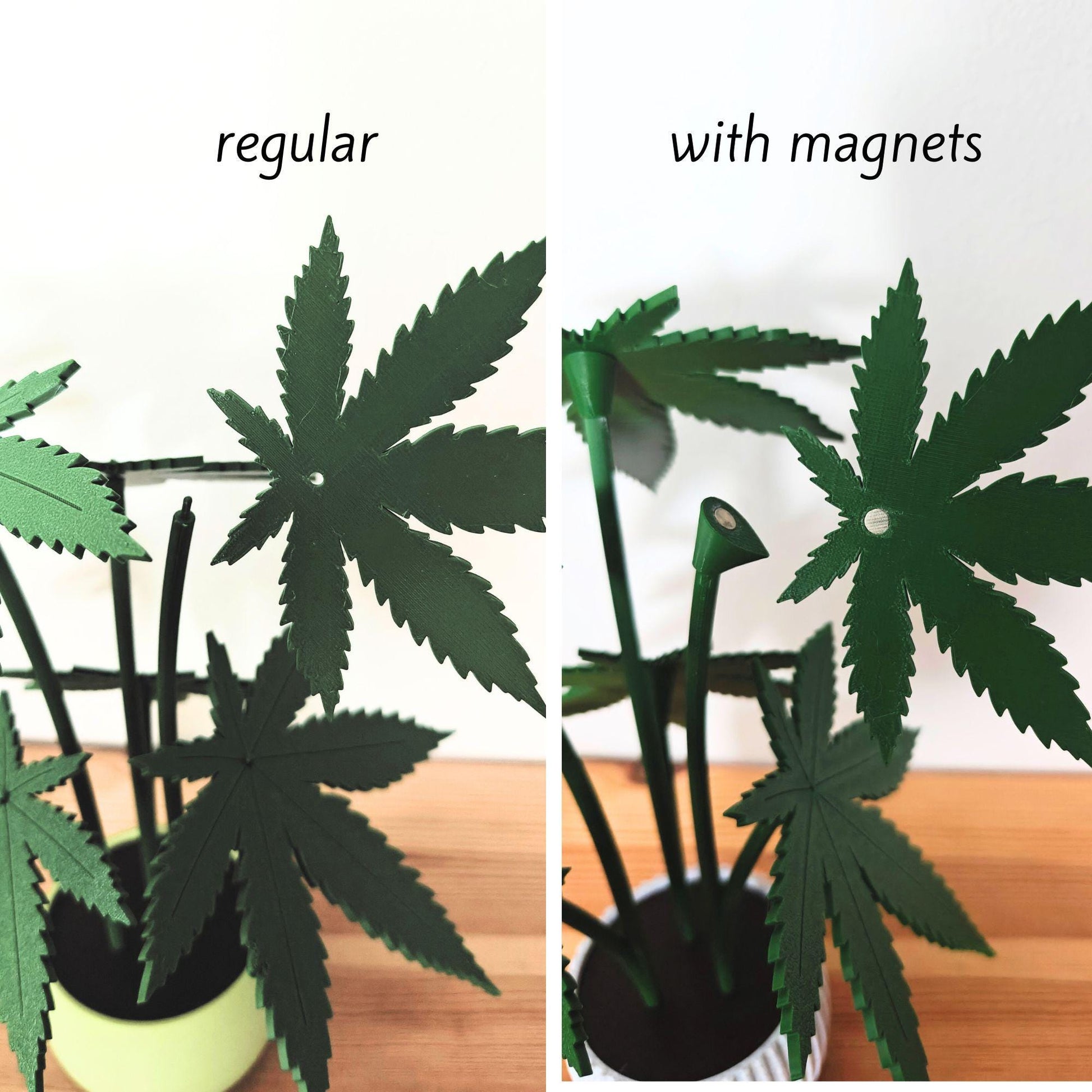 Regular vs magnet leaves