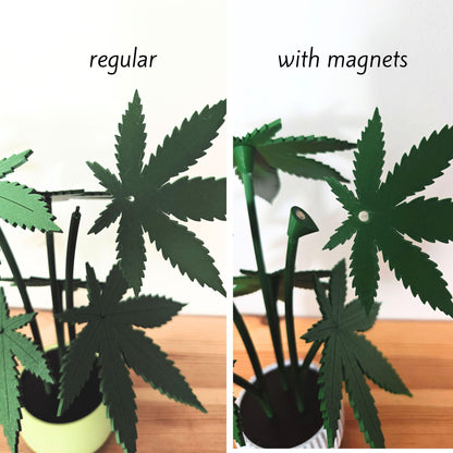 Regular vs magnet leaves